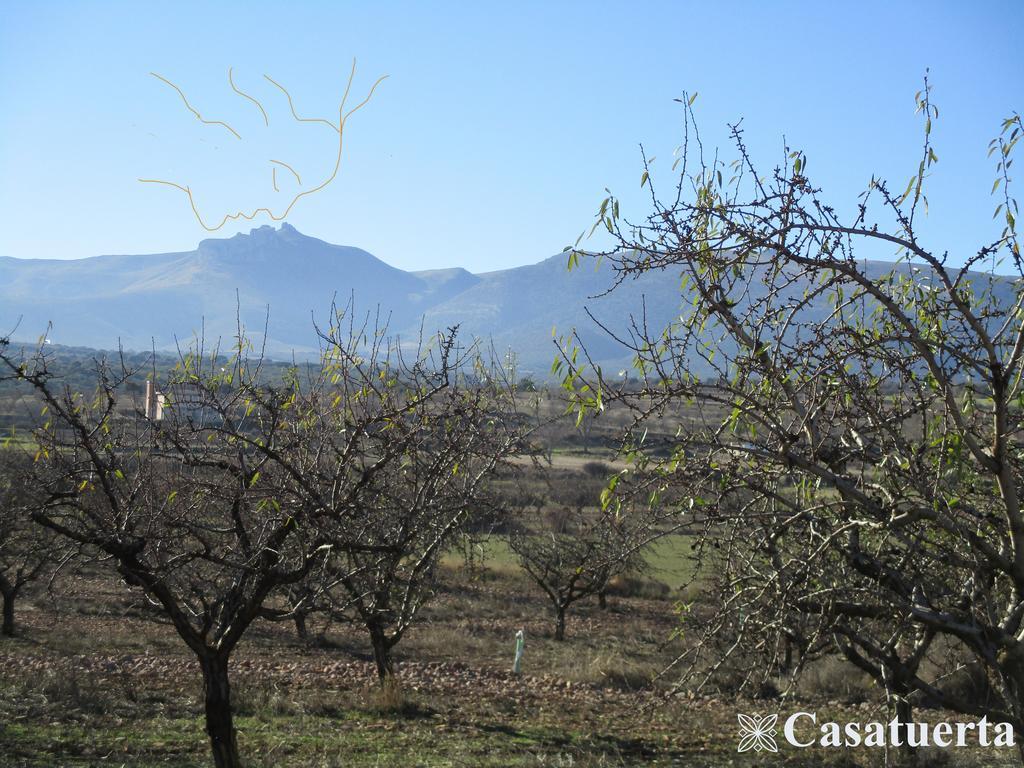 Casa Tuerta * Alcala de Moncayo
